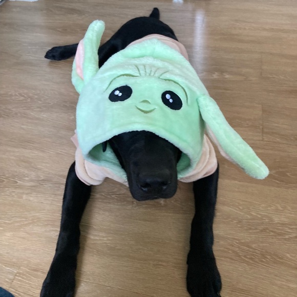 Star Wars Dog Dog Costume Star Wars Baby Yoda Grogu The Child